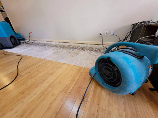 Professional Structural Drying technician working in Kinde, MI